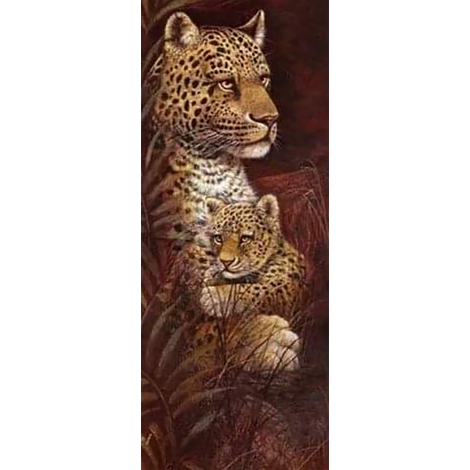 Leopards (20 x 50 actual picture size)