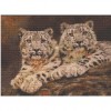 Leopard Cubs 40 x 30 picture size