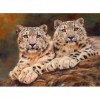 Leopard Cubs 40 x 30 picture size