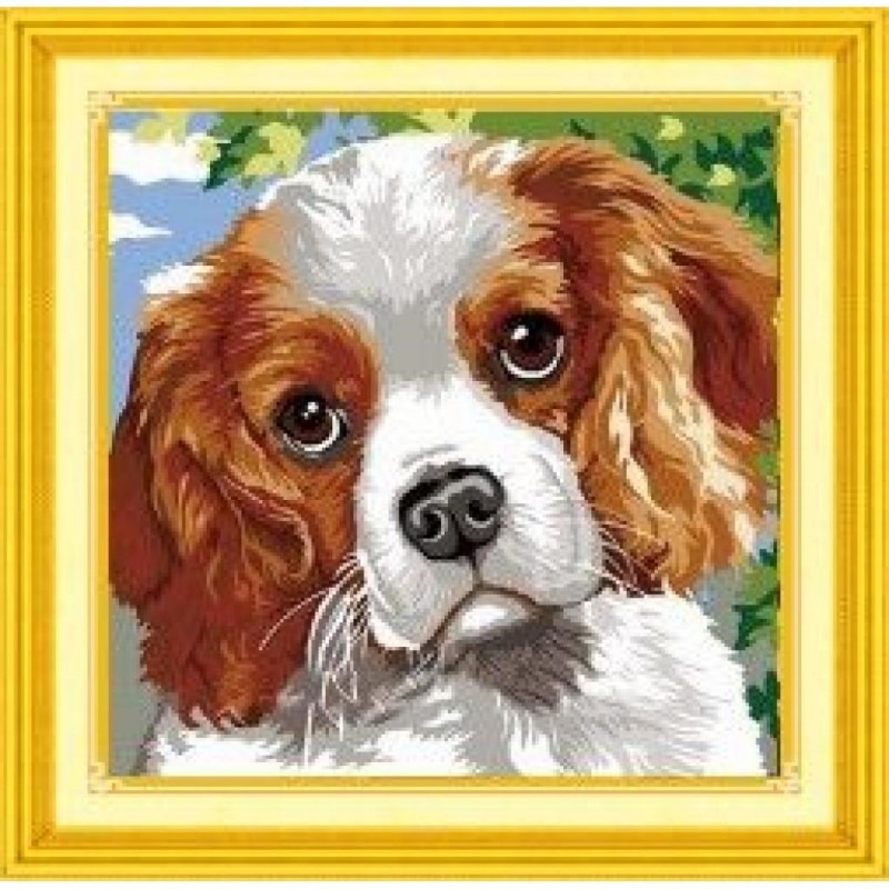 King Charles (30 x 3...