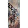 Giraffes (20 x 50 actual picture size)