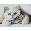 Cats Playing 40 x 30 picture size