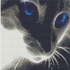 Blue Eye Cat (38 x 38 picture size)
