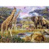 Wildlife 60 x 80 picture size