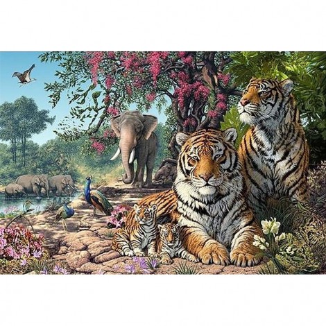 Wildlife 2 (80 x 55 picture size)