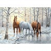 Wild Horses 56 x 40 picture size