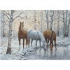 Wild Horses 56 x 40 picture size