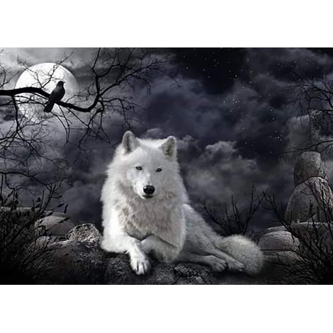 White Wolf 1 (50 x 70 actual picture size)