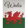 Welsh Flag (40 x 50)