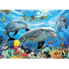 Underwater Life (50 x 70 actual picture size)