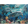 Underwater Life (50 x 70 actual picture size)
