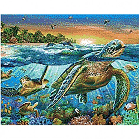 Turtle Bay, 60 x 48 picture size