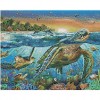 Turtle Bay, 60 x 48 picture size
