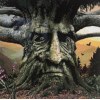 Tree Man (50 x 50 actual picture size)