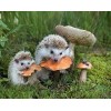 Toadstools (40 x 50 actual picture size)
