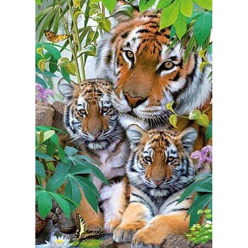 Tigers Life (50 x 70...