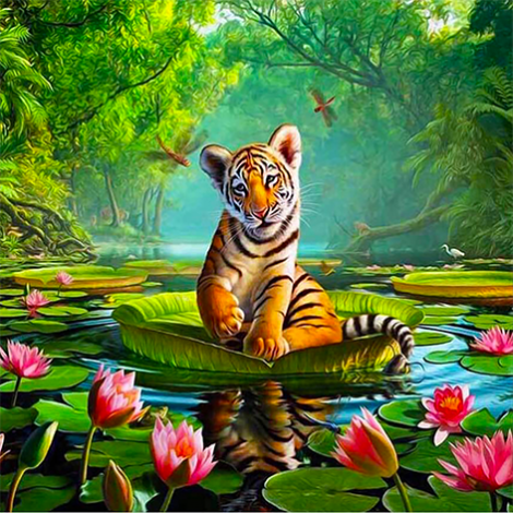 Tiger Lilly (50 x 50)