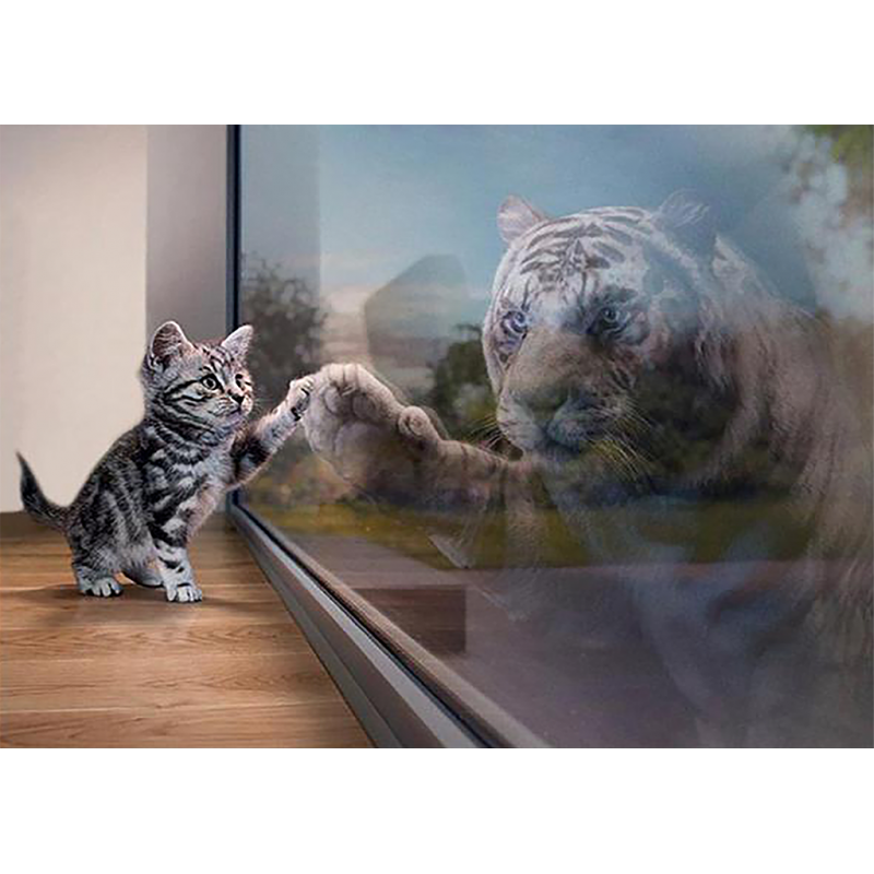 Tiger Cat 2 (50 x 70...