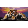 Tiger 2 (40 x 80 actual picture size)
