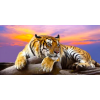Tiger 2 (40 x 80 actual picture size)