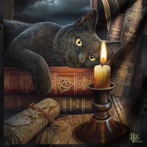 Thinking Cat (50 x 50 picture size)