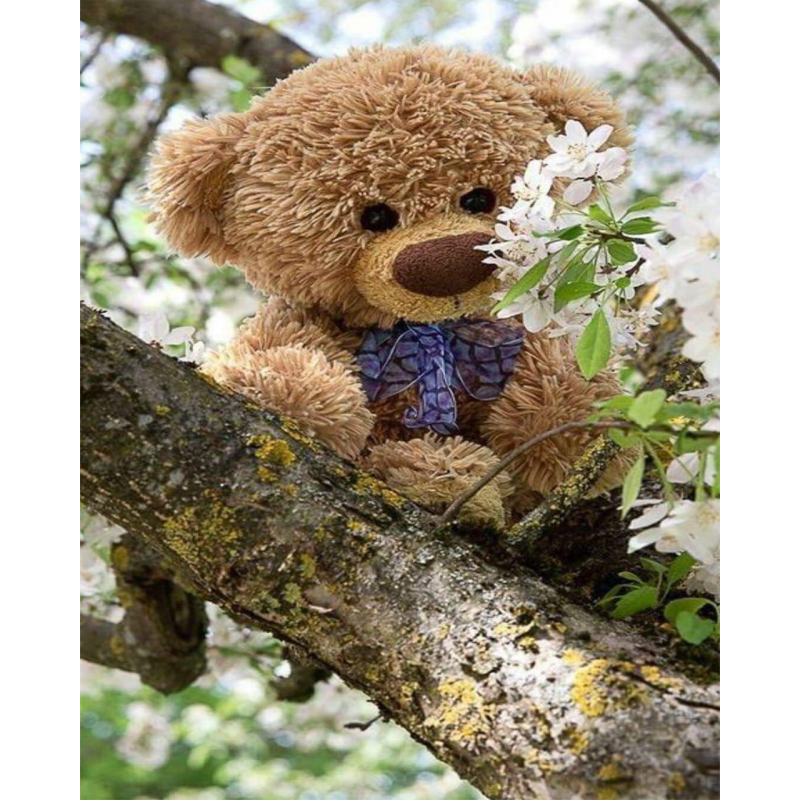 Teddy In The Tree (4...