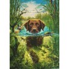 Swimming Dog (50 x 70)