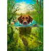 Swimming Dog (50 x 70)