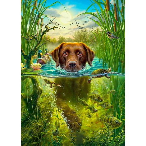 Swimming Dog (50 x 70)
