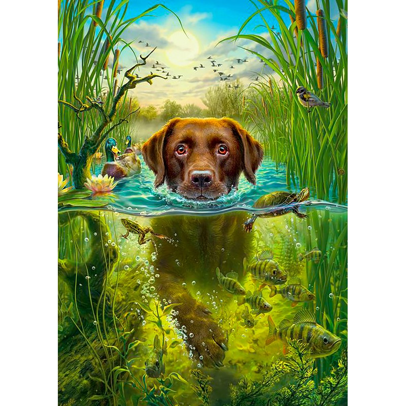 Swimming Dog (50 x 7...