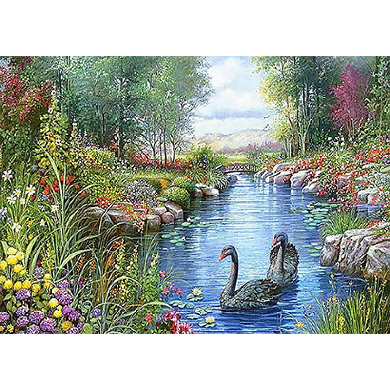 Swan Lake (50 x 70)