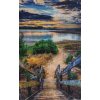 Steps To The Lake (50 x 80 actual picture size)