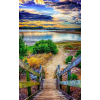 Steps To The Lake (50 x 80 actual picture size)