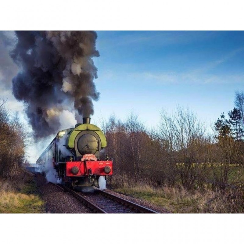 Steam Train (65 x 50...