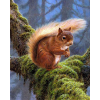 Squirrel In A Tree (40 x 50 actual picture size)