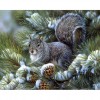 Squirrel (48 x 62) picture size