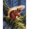 Squirrel In A Tree (40 x 50 actual picture size)
