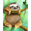 Sloth (40 x 50 actual picture size)