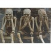 Skeletons (48 x 70 picture size)