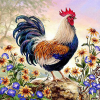 Rooster 1 (50 x 50 actual picture size)