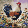 Rooster 1 (50 x 50 actual picture size)