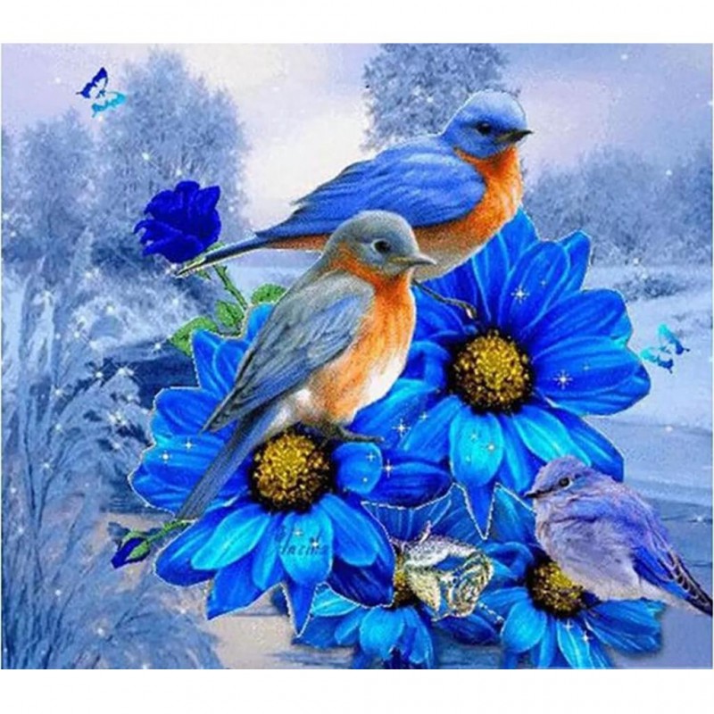 Robbins 48 x 55 pict...