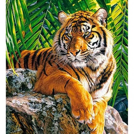 Resting Tiger (50 x 55 actual picture size)