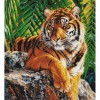 Resting Tiger (50 x 55 actual picture size)