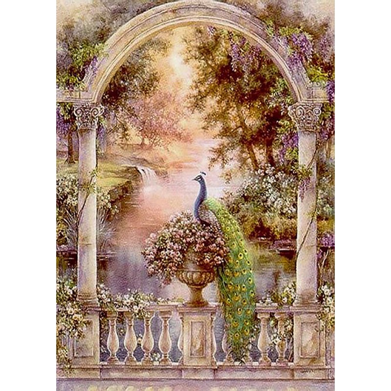 Resting Peacock (50 ...