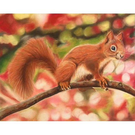 Red Squirrel 3 (40 x 50 actual picture size)