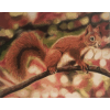 Red Squirrel 3 (40 x 50 actual picture size)