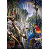 Rainforest (50 x 70)