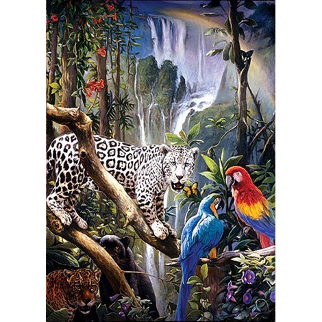 Rainforest (50 x 70)