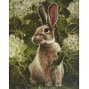 Rabbit In The Garden (40 x 50)